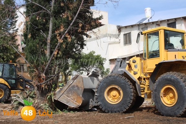 hadm galwash 0311 (9).JPG